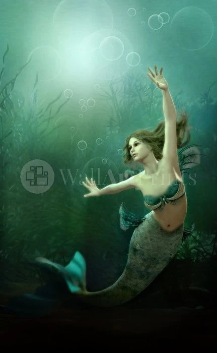 The Little Mermaid 1 The Little Mermaid