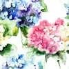 Hydrangea Flowers