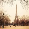 Paris Vintage
