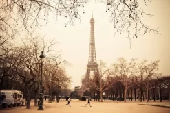 Paris Vintage