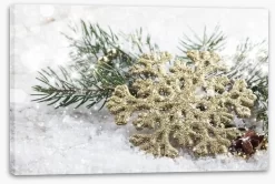 Fallen Star -Art Mural Shop 58513568 stretchedcanvas