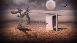 Doorway In The Desert