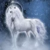 Unicorn In The Stars