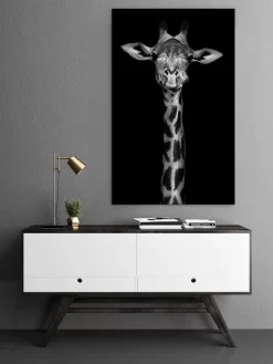 Giraffe In Black And White 5 Giraffe In Black And White -Art Mural Shop 60752164 add image