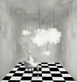The Room With Clouds And Ducks