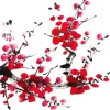 Plum Blossom