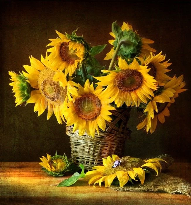 Sunflowers 1 Sunflowers