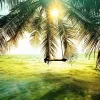 Palm Tree Swing