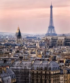 The Rooftops Of Paris