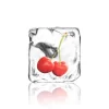 Cherry In Ice