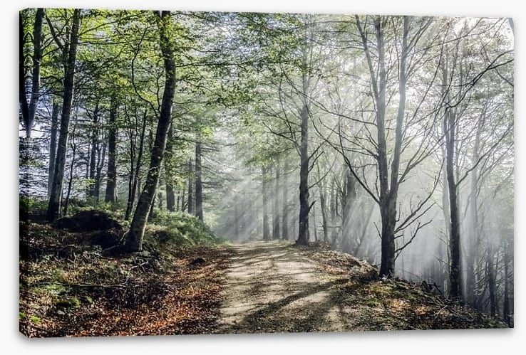 Sunrays On The Mystic Road 2 Sunrays On The Mystic Road - Image 2