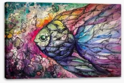 Rainbow Fishes -Art Mural Shop 64798480 stretchedcanvas