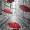 Red Umbrellas