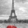 Red Umbrella In The Parisian Rain