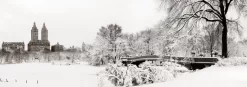 Central Park Winter