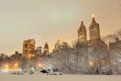 Central Park Winter, New York