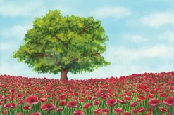 The Poppy Tree