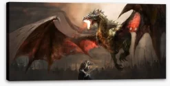 Slaying The Dragon -Art Mural Shop 74008682 stretchedcanvas