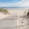 White Sand Walkway