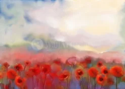 Poppies In The Mist