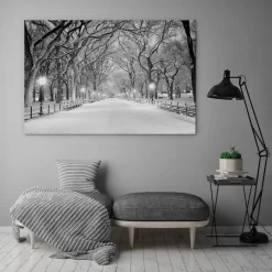 Snowy Central Park -Art Mural Shop 76696889 add image