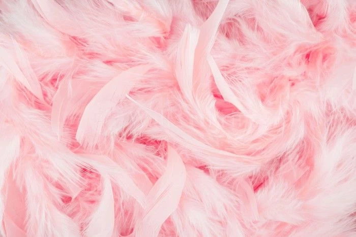 Soft Spot 1 Soft Spot