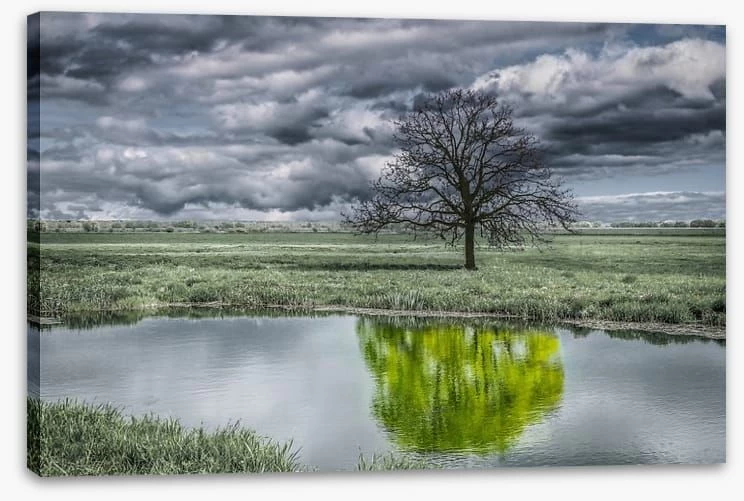 The Unusual Duck Pond 2 The Unusual Duck Pond - Image 2