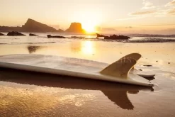 Surfboard Sunset