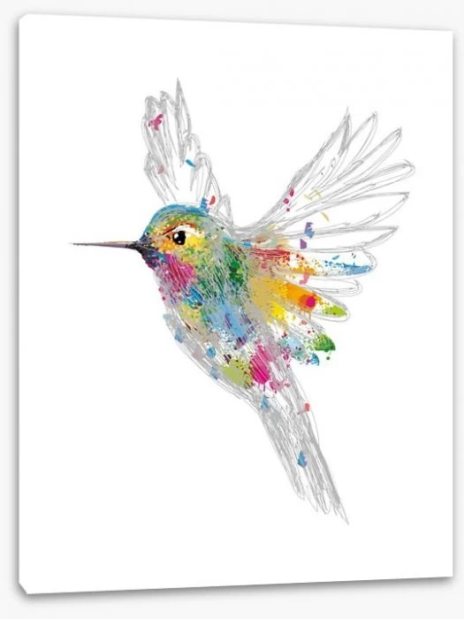 Rainbow Honey-eater 2 Rainbow Honey-eater - Image 2