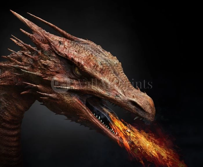 Warming Up 1 Warming Up