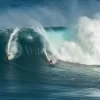 Surfing Duo Panorama