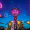 Singapore Supertree