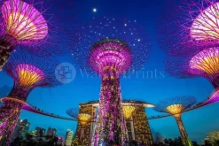 Singapore Supertree
