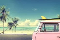 Let's Go Surfing Now