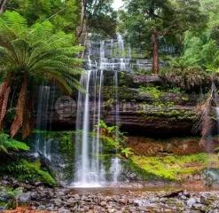 Russell Falls Creek
