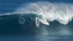 Surfing Panorama