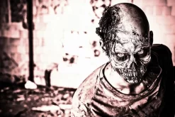 After The Apocalypse