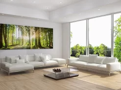 Sunbeam Forest Panorama -Art Mural Shop 92474685 add image
