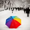 Rainbow Umbrella