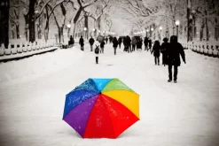 Rainbow Umbrella