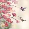 Hummingbirds And Wildflowers