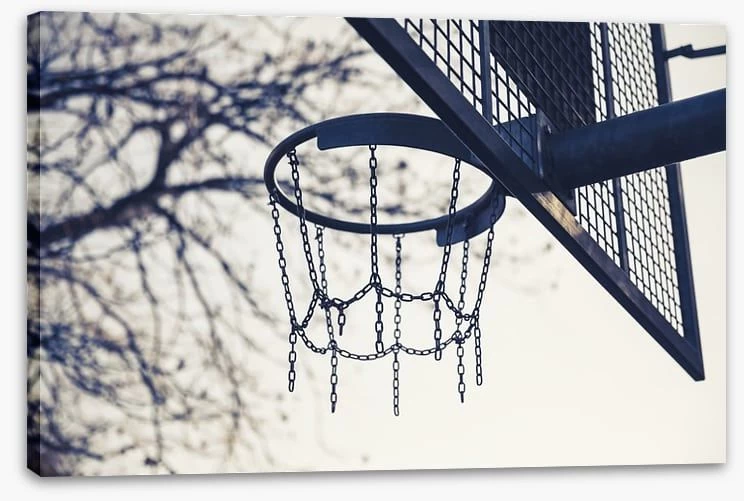 Shooting Hoops 2 Shooting Hoops - Image 2