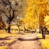 The Yellow Path