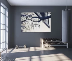 Shooting Hoops 5 Shooting Hoops -Art Mural Shop fitness interior design trends 96574670