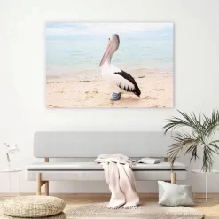 Monkey Mia Pelican -Art Mural Shop wall art prints 128266731 lifestyle min