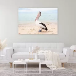 Monkey Mia Pelican -Art Mural Shop wall art prints 128266731 lifestyle min 3
