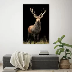 Deer In The Night -Art Mural Shop wall art prints 19229360 lifestyle min 3