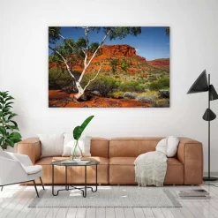 Outback Afternoon -Art Mural Shop wall art prints 199877791 lifestyle min