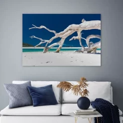 Whitehaven Driftwood -Art Mural Shop wall art prints 203519903 lifestyle min