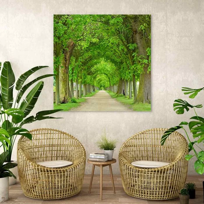 Green Tree Tunnel 4 Green Tree Tunnel - Image 4